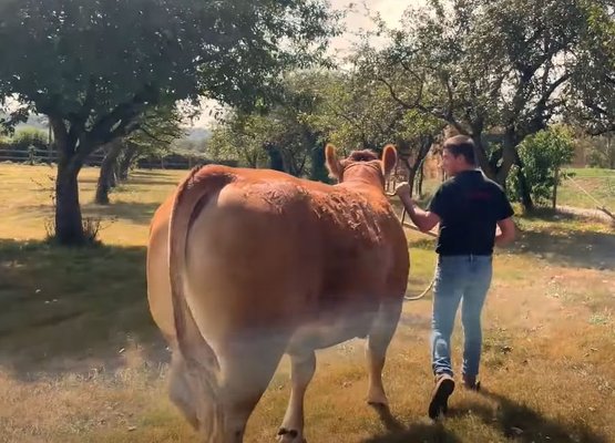 RIVET - Témoignage client - GAEC DE CHAMPAGNAT