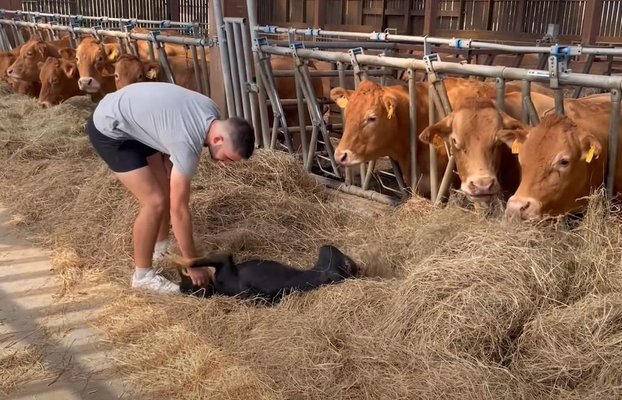 RIVET - Témoignage client - GAEC DE CHEZ MASSIAT